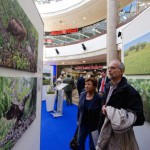 Ausstellung der ?Schreiadler im Fokus? im Schlossparkcenter in Schwerin eröffnet