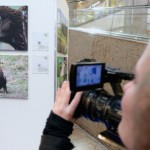 Ausstellung der ?Schreiadler im Fokus? im Schlossparkcenter in Schwerin eröffnet