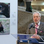 Ausstellung der ?Schreiadler im Fokus? im Schlossparkcenter in Schwerin eröffnet