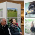 Ausstellung der ?Schreiadler im Fokus? im Schlossparkcenter in Schwerin eröffnet