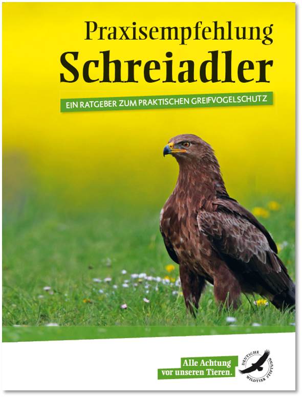 Praxisempfehlung Schreiadler