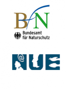 logo-bfnnue