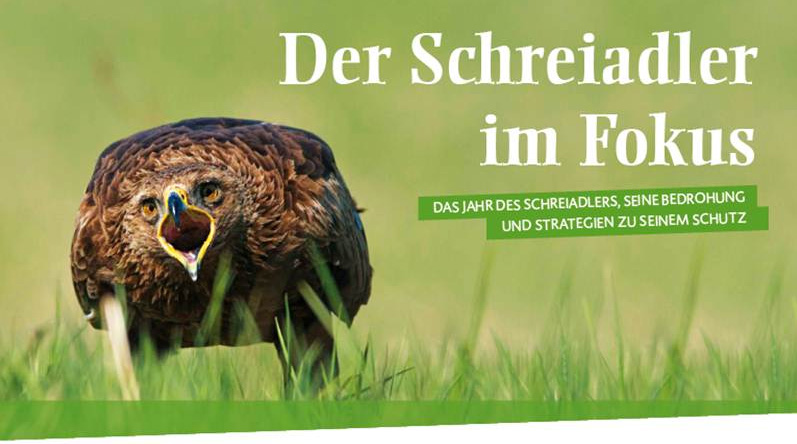 Schreiadler Fotoausstellung