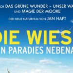 die WIESE nautikusfilm polyband