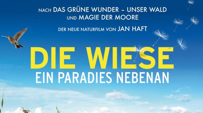 die WIESE nautikusfilm polyband