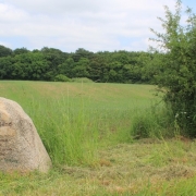 Schreiadlerland Bredenfelde